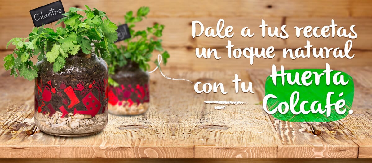 Huerta colcafé 4web